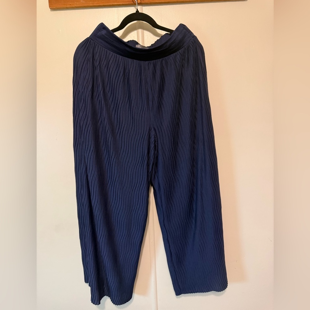 ANTHROPOLOGY BEUTIFUL WIDE PLEADED FABRIC DARK BLUE PANTS, , SIZE XS